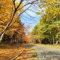 中島公園 季節の変わり目